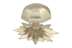 Door knob with star rosette brushed nickel